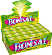 Lade das Bild in den Galerie-Viewer, Bonsai Fontäne 1er Schachtel