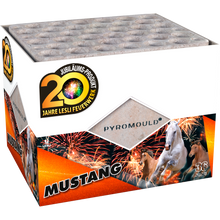 Lade das Bild in den Galerie-Viewer, Mustang 36 Schuss Feuerwerksbatterie