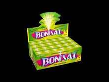 Laden und Abspielen von Videos im Galerie-Viewer, Bonsai Fontäne 1er Schachtel
