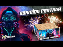 Laden und Abspielen von Videos im Galerie-Viewer, Roaming Panther Verbundfeuerwerk