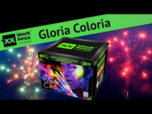 Laden und Abspielen von Videos im Galerie-Viewer, Gloria Coloria Feuerwerksbatterie