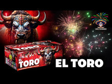 Laden und Abspielen von Videos im Galerie-Viewer, El Toro 101 Schuss Verbundfeuerwerk