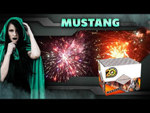 Laden und Abspielen von Videos im Galerie-Viewer, Mustang 36 Schuss Feuerwerksbatterie