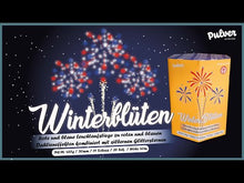 Laden und Abspielen von Videos im Galerie-Viewer, Winterblüten 19 Schuss Feuerwerksbatterie
