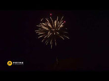 Laden und Abspielen von Videos im Galerie-Viewer, Fyne 30 Schuss Batteriefeuerwerk
