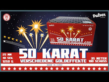 Laden und Abspielen von Videos im Galerie-Viewer, 50 Karat 100 Schuss Verbundfeuerwerk
